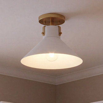 1-Light Ceiling Light in White and Natural Brass (8483|M60078WHNB)