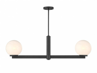 2-Light Linear Chandelier in Matte Black (8483|M100124MBK)