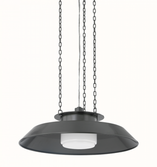 WOODROW Pendant (57|8822-DB)