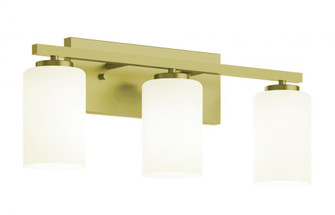 Leo 22'' Med Base Vanity,120V,LB (1|LEOV2209MBLB)