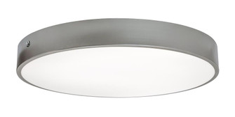 Bailey 19'' LED Flush,120-277V,30W,5 CCT,SN,MS (1|BAYF19LAJUDSN-MS)