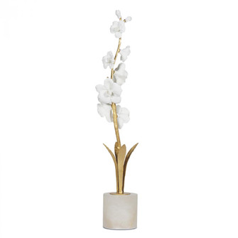 Regina Andrew Thylane Accessory 2 (5533|20-1621)