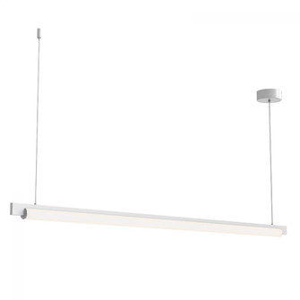 60'' LED Pendant (107|3828.03-J20)