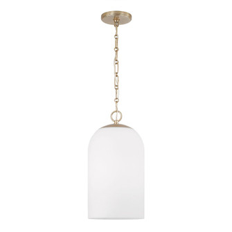 1 Light Pendant (42|355811MA-554)