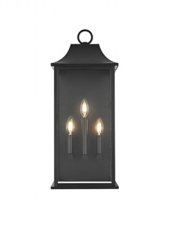 Shepard 10 inch Outdoor Wall Sconce in Black (758|OD503W25BK)