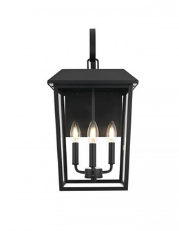 Riggs 11 inch Outdoor Wall Sconce in Black (758|OD502W22BK)