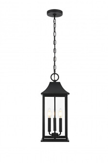 Shepard 8 x 20.5 inch Outdoor Pendant in Black (758|OD503H21BK)