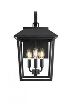 Riggs 10 inch Outdoor Wall Sconce in Black (758|OD502W17BK)