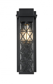 Wildey 16 Inch Outdoor Wall Sconce in Black (758|OD361W16BK)