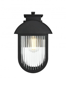 Albert 8 Inch Outdoor Wall Sconce in Black (758|OD338W13BK)