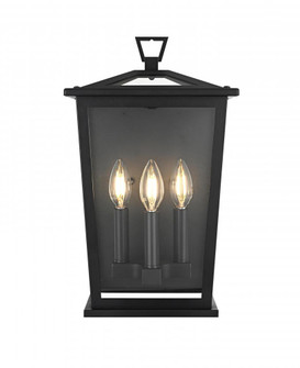 Richmond 9.5 Inch Outdoor Wall Sconce in Black (758|OD331W16BK)