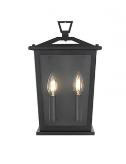 Wall sconce W8.5'' H14'' E6.5'' L2 Black (758|OD331W14BK)