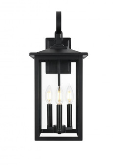 Carisle 9 Inch Outdoor Wall Sconce in Black (758|OD325W20BK)