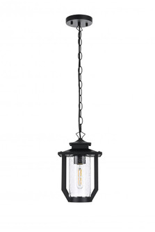 Outdoor Hanging L7'' W7'' H12.5'' L1 Black (758|OD323H13BK)