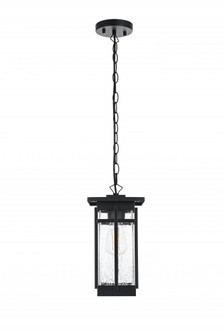 Livingston 6.5 Inch Outdoor Pendant in Black (758|OD321H14BK)