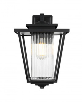 York 10 Inch Outdoor Wall Sconce in Black (758|OD305W16BK)