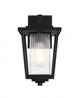 Wall sconce W6.5'' H13'' E8'' L1 Black (758|OD305W13BK)