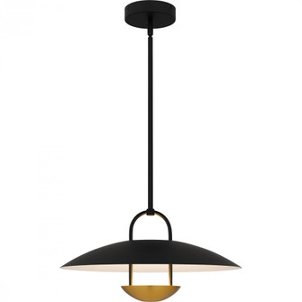 Bingham Pendant (26|BIN2818MBK)