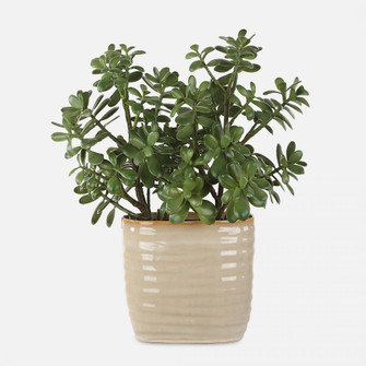 Uttermost Crassula Jade Accent Plant (85|60226)