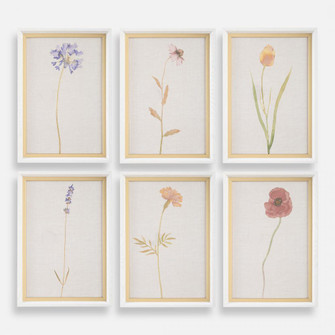 Uttermost Wild Flourish Framed Floral Prints Set/6 (85|32384)