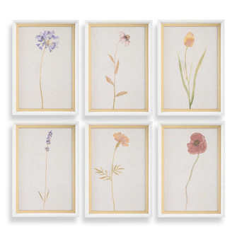 Uttermost Wild Flourish Framed Floral Prints Set/6 (85|32384)