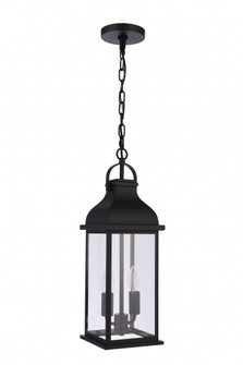 Bent Tree 2 Light Outdoor Pendant in Midnight (20|ZA7211-MN)