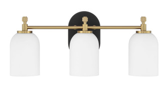 Council 3 Light Vanity in Flat Black/Satin Brass (20|60303-FBSB)
