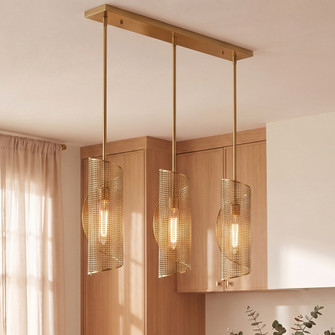 Hillbourne 3-Light Linear Chandelier in Warm Brass (128|1-8031-3-322)