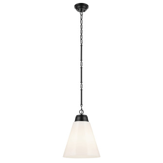 Pendant Large 1Lt (10687|52662BK)
