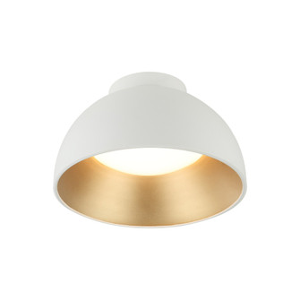Zenith Flush Mounts (3605|M17412MW)