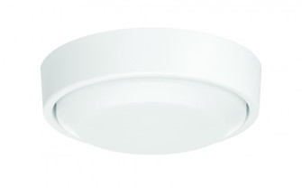 Amigo LED Slim Light Kit (20|AMG52LK-W-LED)