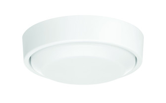20 Watt Light Kit in White for the Amigo 52'' Ceiling Fan (20|AMG52LK-W-LED)