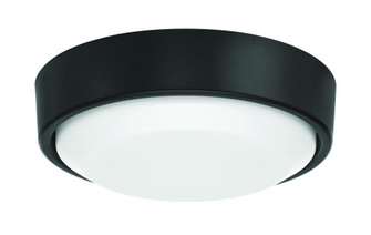 20 Watt Light Kit in Flat Black for the Amigo 52'' Ceiling Fan (20|AMG52LK-FB-LED)