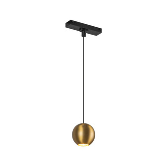 Faria 3-in Brushed Gold 4000K Trilo Track Pendant (461|TRP26903-BG-4K)
