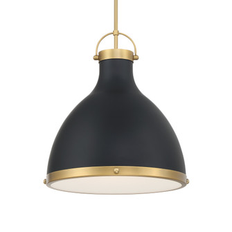 Lynk 16.5'' 1-Light Pendant (10|3932-876)