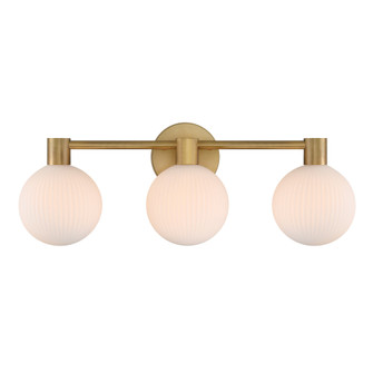 Fenton 24'' 3-Light Vanity (10|2993-732)