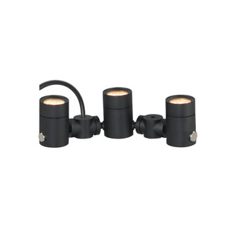 Tree Hugger-Outdoor Pathway Light (94|E42313-BK)