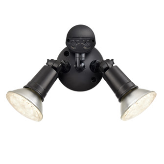 4.75'' High 2-Light Outdoor Security Flood Light - Powder Coated Black (670|M-16002-PBK)