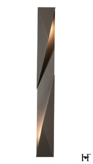 Carbon Large Outdoor Sconce (65|302044-SKT-LFT-80)