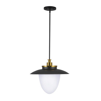 Dahlia 3 Light Pendant 20'', Brushed Brass (12|AC11906BB)
