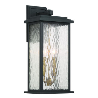 Estate 2 Light Outdoor Wall Sconce 19'', Black, Brass with Rain Glassware (12|AC9272BK)