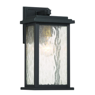 Outdoor Wall Sconce (12|AC9270BK)