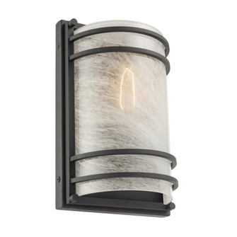 Outdoor Wall Sconce (12|AC8727BK)