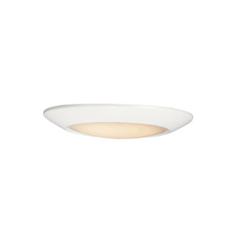Diverse-Flush Mount (19|87643WTWT)