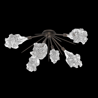 Blossom Flush Starburst (1289|CLB0059-02-FB-BC-L3)