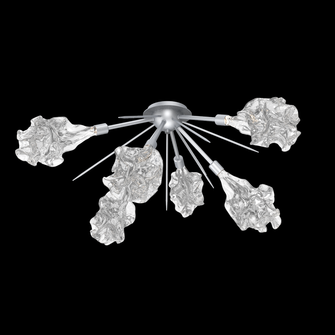 Blossom Flush Starburst (1289|CLB0059-02-CS-BC-L3)