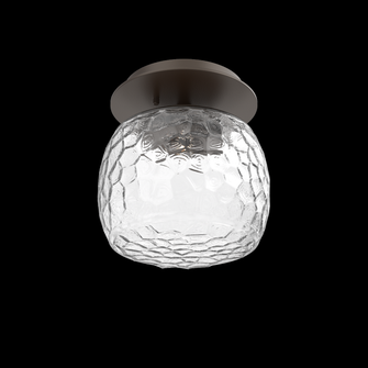 Single Glass Sconce & Flush Mount - Vessel (1289|SMB0091-01-FB-C-L1)
