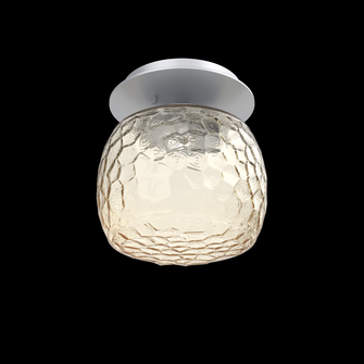 Single Glass Sconce & Flush Mount - Vessel (1289|SMB0091-01-CS-A-L1)