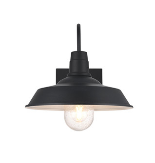 Rayan 14 inch Outdoor Wall Sconce in Black (758|OD415W23BK)
