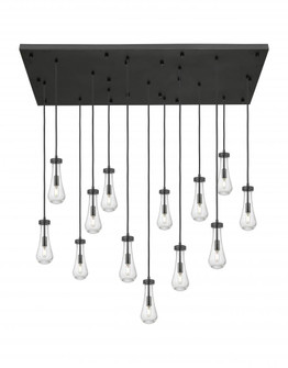 Owego - 13 Light - 54 inch - Brushed Matte Black - Multi Pendant (3442|154BK-451-1P-BK-G451-4SDY)